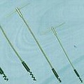 Extractors-Size3